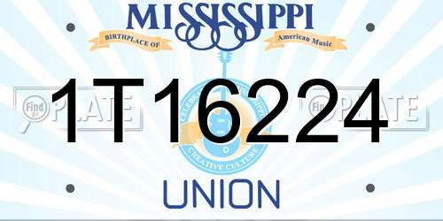 1T16224 Mississippi License Plate