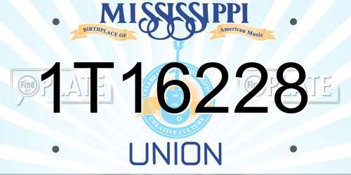 1T16228 Mississippi License Plate