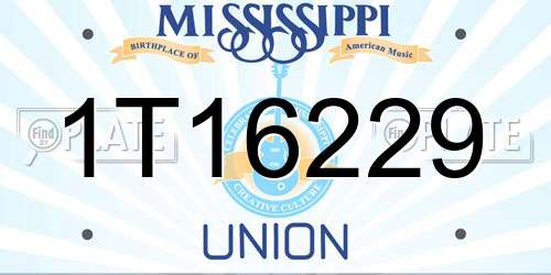 1T16229 Mississippi License Plate