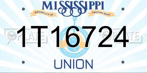1T16724 Mississippi License Plate