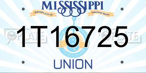1T16725 Mississippi License Plate
