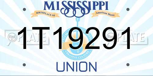 1T19291 Mississippi License Plate
