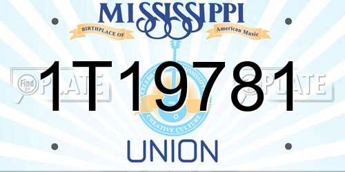 1T19781 Mississippi License Plate