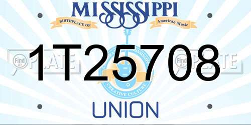 1T25708 Mississippi License Plate