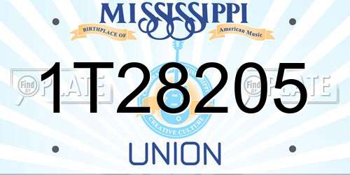 1T28205 Mississippi License Plate