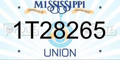 1T28265 Mississippi License Plate
