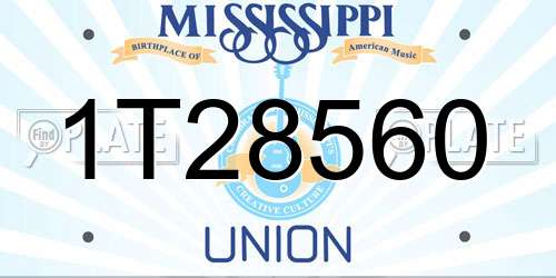 1T28560 Mississippi License Plate