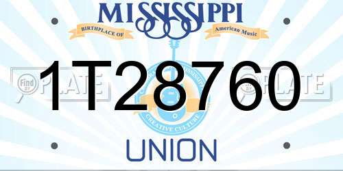 1T28760 Mississippi License Plate