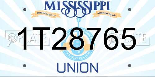 1T28765 Mississippi License Plate