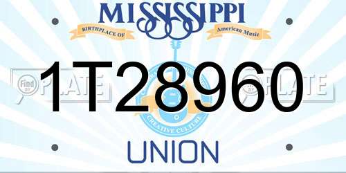 1T28960 Mississippi License Plate