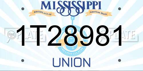 1T28981 Mississippi License Plate