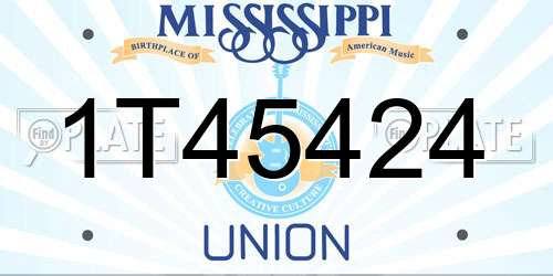 1T45424 Mississippi License Plate
