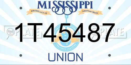 1T45487 Mississippi License Plate