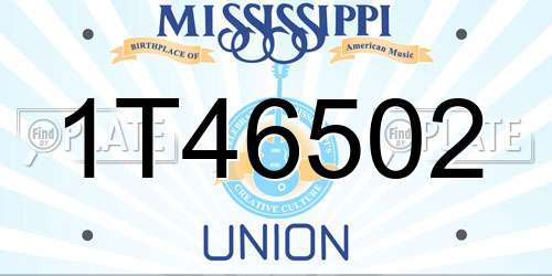 1T46502 Mississippi License Plate