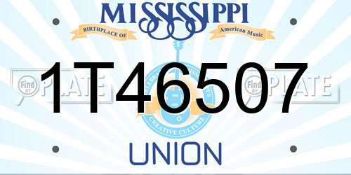 1T46507 Mississippi License Plate
