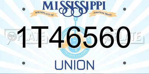 1T46560 Mississippi License Plate