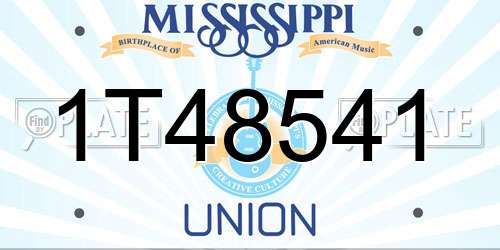 1T48541 Mississippi License Plate