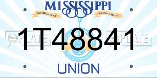 1T48841 Mississippi License Plate