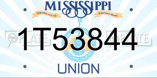 1T53844 Mississippi License Plate