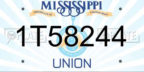 1T58244 Mississippi License Plate