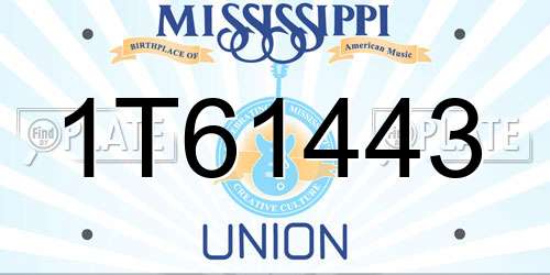 1T61443 Mississippi License Plate