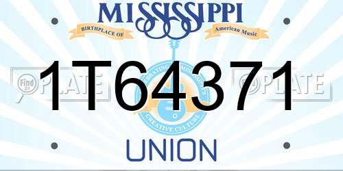 1T64371 Mississippi License Plate