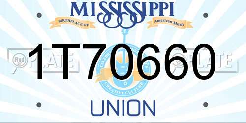 1T70660 Mississippi License Plate