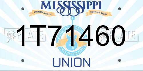 1T71460 Mississippi License Plate