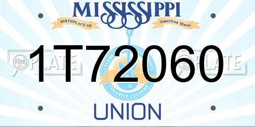 1T72060 Mississippi License Plate