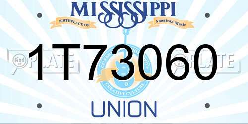 1T73060 Mississippi License Plate