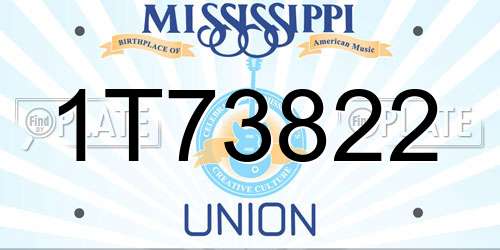 1T73822 Mississippi License Plate