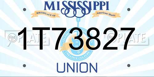 1T73827 Mississippi License Plate