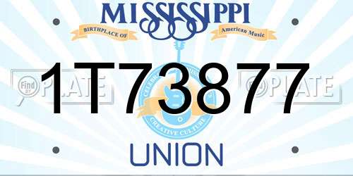 1T73877 Mississippi License Plate