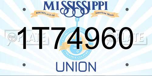 1T74960 Mississippi License Plate