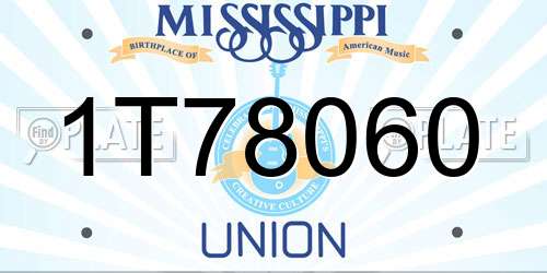 1T78060 Mississippi License Plate
