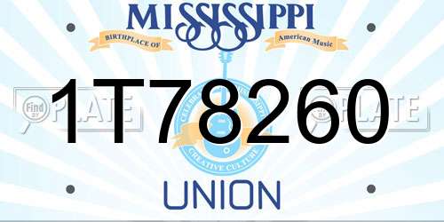1T78260 Mississippi License Plate