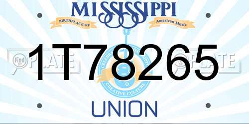 1T78265 Mississippi License Plate