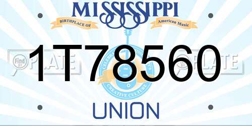 1T78560 Mississippi License Plate