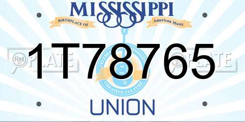 1T78765 Mississippi License Plate
