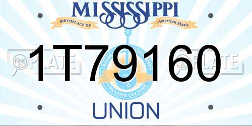 1T79160 Mississippi License Plate