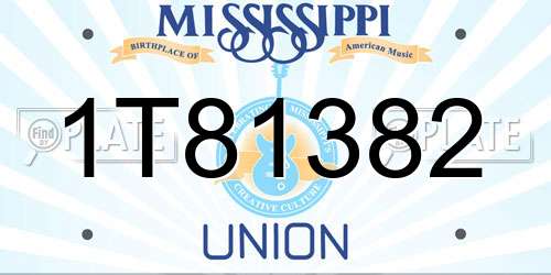 1T81382 Mississippi License Plate