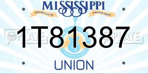 1T81387 Mississippi License Plate