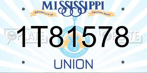 1T81578 Mississippi License Plate