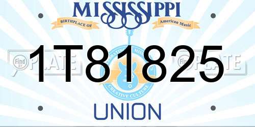 1T81825 Mississippi License Plate