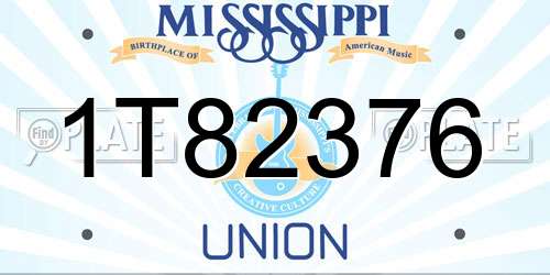 1T82376 Mississippi License Plate