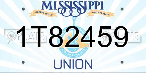 1T82459 Mississippi License Plate
