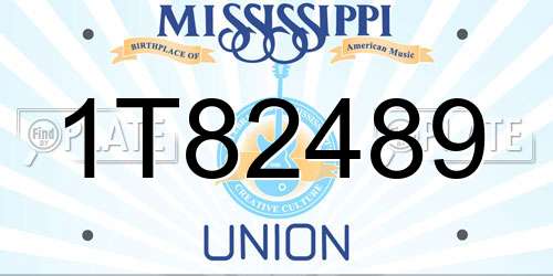 1T82489 Mississippi License Plate