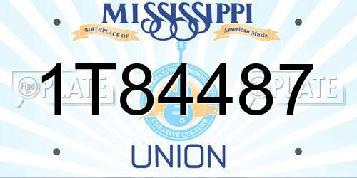 1T84487 Mississippi License Plate