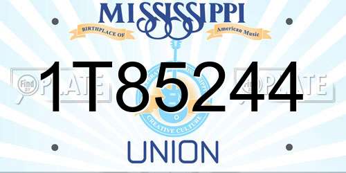 1T85244 Mississippi License Plate