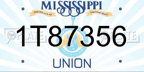 1T87356 Mississippi License Plate